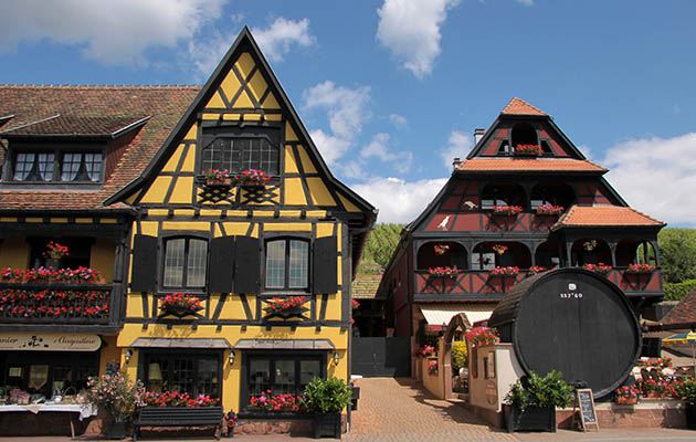 Christmas in the Black Forest