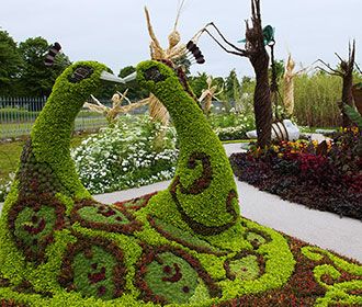 Hampton Court Tulip Festival & London