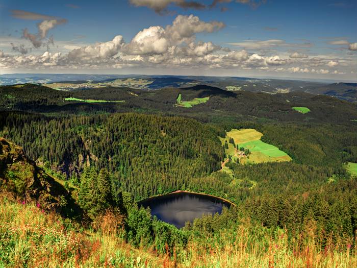 tourhub | National Holidays | Christmas in the Black Forest 