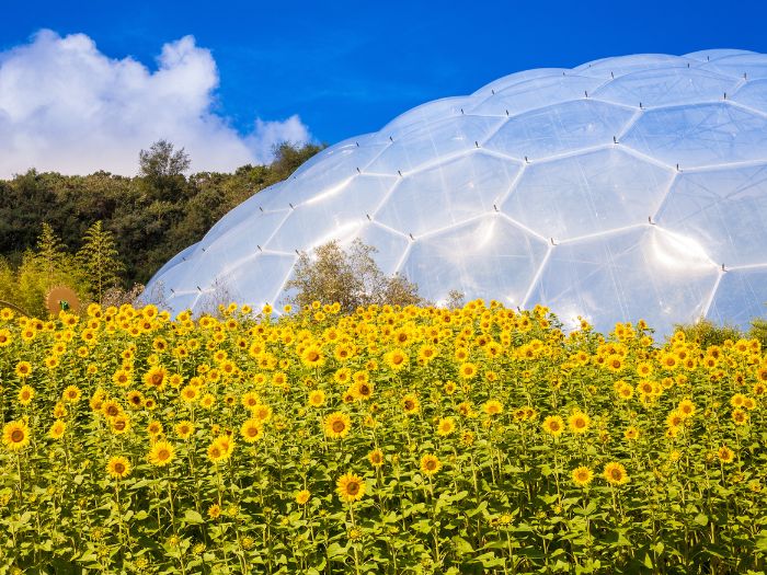 tourhub | National Holidays | Newquay & the Eden Project    