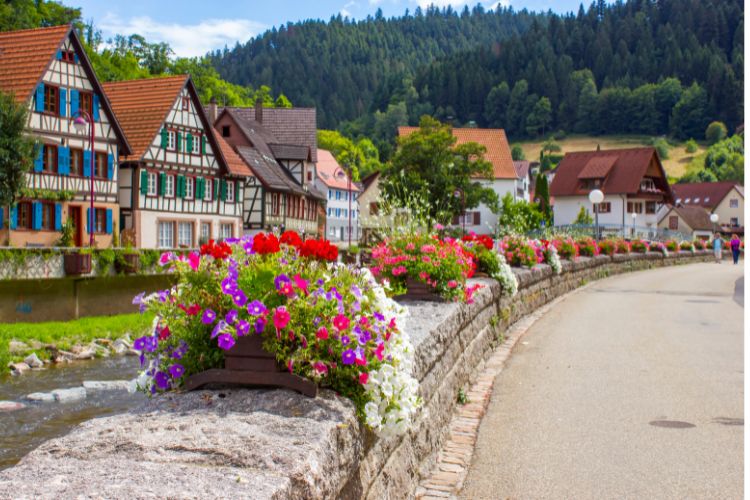 tourhub | National Holidays | The Beautiful Black Forest  