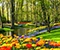 Keukenhof