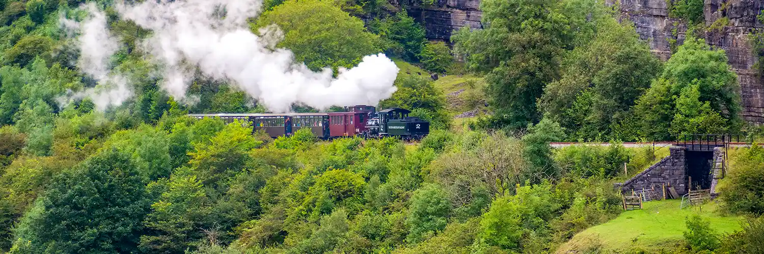 The Celtic Connection