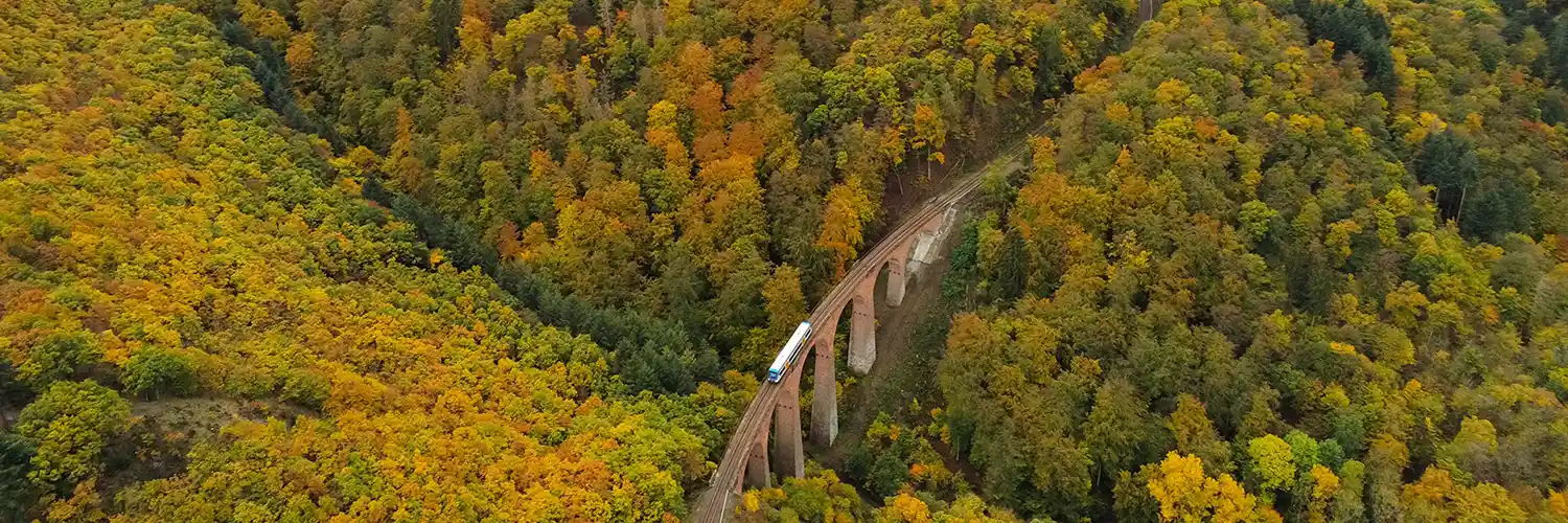 Railways & Riverbanks - A Rhine Valley Discovery