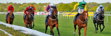 Horse Racing